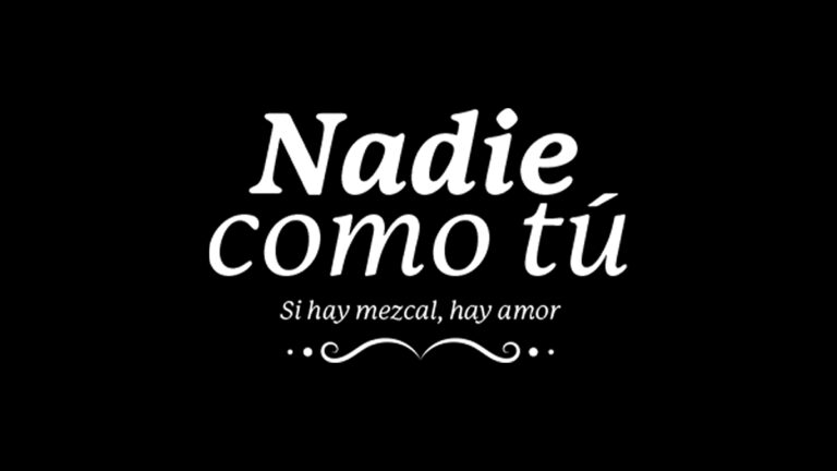 logo telenovela nadie como tu